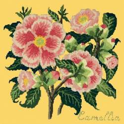 Elizabeth Bradley, Evergreens, CAMELLIA - 16x16 pollici Elizabeth Bradley - 11