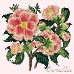 Elizabeth Bradley, Evergreens, CAMELLIA - 16x16 pollici Elizabeth Bradley - 12