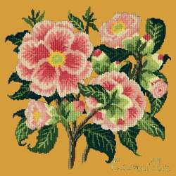 Elizabeth Bradley, Evergreens, CAMELLIA - 16x16 pollici Elizabeth Bradley - 13