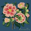 Elizabeth Bradley, Evergreens, CAMELLIA - 16x16 pollici Elizabeth Bradley - 16