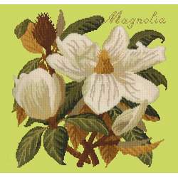 Elizabeth Bradley, Evergreens, MAGNOLIA - 16x16 pollici Elizabeth Bradley - 8