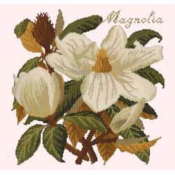 Elizabeth Bradley, Evergreens, MAGNOLIA - 16x16 pollici Elizabeth Bradley - 12