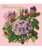 Elizabeth Bradley, Evergreens, RHODODENDRON - 16x16 pollici Elizabeth Bradley - 2