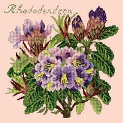 Elizabeth Bradley, Evergreens, RHODODENDRON - 16x16 pollici Elizabeth Bradley - 3