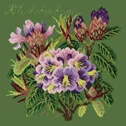 Elizabeth Bradley, Evergreens, RHODODENDRON - 16x16 pollici Elizabeth Bradley - 6