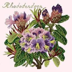 Elizabeth Bradley, Evergreens, RHODODENDRON - 16x16 pollici Elizabeth Bradley - 12