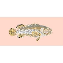 Elizabeth Bradley, The Fishes, BRINDLED GROUPER - 28x11 pollici Elizabeth Bradley - 3