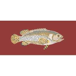 Elizabeth Bradley, The Fishes, BRINDLED GROUPER - 28x11 pollici Elizabeth Bradley - 5