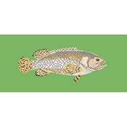 Elizabeth Bradley, The Fishes, BRINDLED GROUPER - 28x11 pollici Elizabeth Bradley - 7