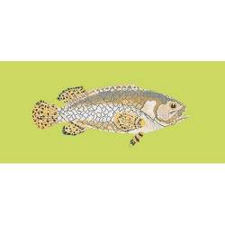 Elizabeth Bradley, The Fishes, BRINDLED GROUPER - 28x11 pollici Elizabeth Bradley - 8