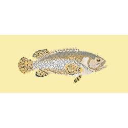 Elizabeth Bradley, The Fishes, BRINDLED GROUPER - 28x11 pollici Elizabeth Bradley - 10