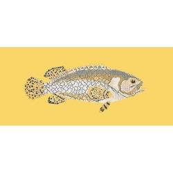 Elizabeth Bradley, The Fishes, BRINDLED GROUPER - 28x11 pollici Elizabeth Bradley - 11