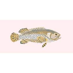 Elizabeth Bradley, The Fishes, BRINDLED GROUPER - 28x11 pollici Elizabeth Bradley - 12