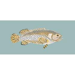 Elizabeth Bradley, The Fishes, BRINDLED GROUPER - 28x11 pollici Elizabeth Bradley - 14