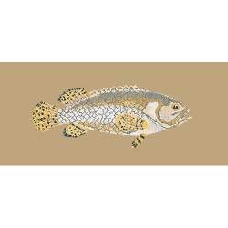 Elizabeth Bradley, The Fishes, BRINDLED GROUPER - 28x11 pollici Elizabeth Bradley - 17