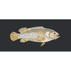 Elizabeth Bradley, The Fishes, BRINDLED GROUPER - 28x11 pollici Elizabeth Bradley - 18