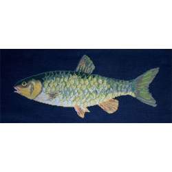 Elizabeth Bradley, The Fishes, FRESHWATER CHUB - 28x11 pollici Elizabeth Bradley - 16