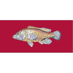 Elizabeth Bradley, The Fishes, VERMILION SEABASS - 28x11 pollici Elizabeth Bradley - 4