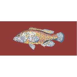 Elizabeth Bradley, The Fishes, VERMILION SEABASS - 28x11 pollici Elizabeth Bradley - 5