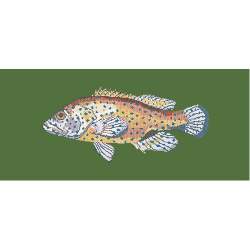 Elizabeth Bradley, The Fishes, VERMILION SEABASS - 28x11 pollici Elizabeth Bradley - 6