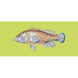 Elizabeth Bradley, The Fishes, VERMILION SEABASS - 28x11 pollici Elizabeth Bradley - 8