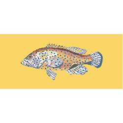 Elizabeth Bradley, The Fishes, VERMILION SEABASS - 28x11 pollici Elizabeth Bradley - 11