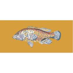 Elizabeth Bradley, The Fishes, VERMILION SEABASS - 28x11 pollici Elizabeth Bradley - 13