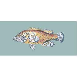 Elizabeth Bradley, The Fishes, VERMILION SEABASS - 28x11 pollici Elizabeth Bradley - 14