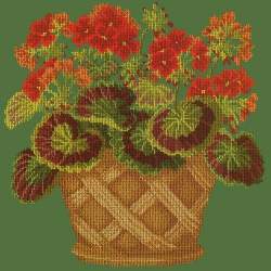 Elizabeth Bradley, Flower Pots, GERANIUM POT - 16x16 pollici Elizabeth Bradley - 6