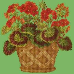 Elizabeth Bradley, Flower Pots, GERANIUM POT - 16x16 pollici Elizabeth Bradley - 7