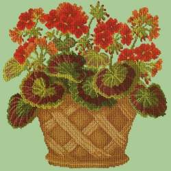 Elizabeth Bradley, Flower Pots, GERANIUM POT - 16x16 pollici Elizabeth Bradley - 9