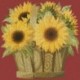 Elizabeth Bradley, Flower Pots, SUNFLOWER BASKET - 16x16 pollici Elizabeth Bradley - 5