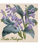 Elizabeth Bradley, Shade Garden, HOSTA HALCYON - 16x16 pollici Elizabeth Bradley - 1