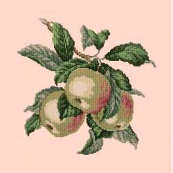 Elizabeth Bradley, Botanical Fruits, APPLES - 16x16 pollici Elizabeth Bradley - 3