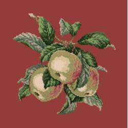 Elizabeth Bradley, Botanical Fruits, APPLES - 16x16 pollici Elizabeth Bradley - 5