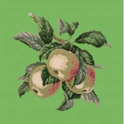 Elizabeth Bradley, Botanical Fruits, APPLES - 16x16 pollici Elizabeth Bradley - 7