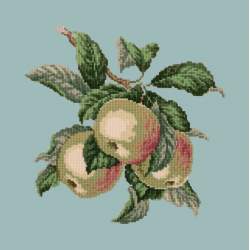 Elizabeth Bradley, Botanical Fruits, APPLES - 16x16 pollici Elizabeth Bradley - 14