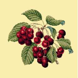 Elizabeth Bradley, Botanical Fruits, CHERRIES - 16x16 pollici Elizabeth Bradley - 10