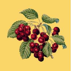 Elizabeth Bradley, Botanical Fruits, CHERRIES - 16x16 pollici Elizabeth Bradley - 11