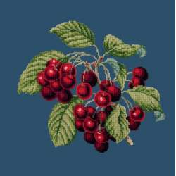 Elizabeth Bradley, Botanical Fruits, CHERRIES - 16x16 pollici Elizabeth Bradley - 16