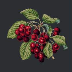 Elizabeth Bradley, Botanical Fruits, CHERRIES - 16x16 pollici Elizabeth Bradley - 18