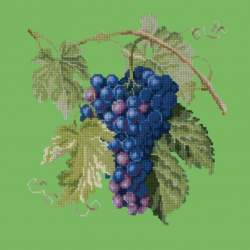 Elizabeth Bradley, Botanical Fruits, GRAPES - 16x16 pollici Elizabeth Bradley - 7