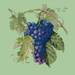 Elizabeth Bradley, Botanical Fruits, GRAPES - 16x16 pollici Elizabeth Bradley - 9