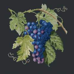 Elizabeth Bradley, Botanical Fruits, GRAPES - 16x16 pollici Elizabeth Bradley - 18