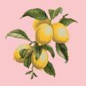 Elizabeth Bradley, Botanical Fruits, LEMONS - 16x16 pollici Elizabeth Bradley - 2