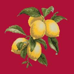 Elizabeth Bradley, Botanical Fruits, LEMONS - 16x16 pollici Elizabeth Bradley - 4