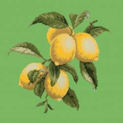 Elizabeth Bradley, Botanical Fruits, LEMONS - 16x16 pollici Elizabeth Bradley - 7