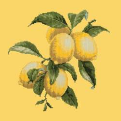 Elizabeth Bradley, Botanical Fruits, LEMONS - 16x16 pollici Elizabeth Bradley - 11