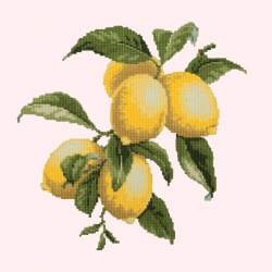 Elizabeth Bradley, Botanical Fruits, LEMONS - 16x16 pollici Elizabeth Bradley - 12