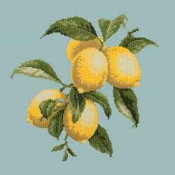 Elizabeth Bradley, Botanical Fruits, LEMONS - 16x16 pollici Elizabeth Bradley - 14